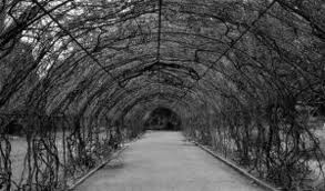 tunel_emaranhado.jpeg